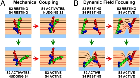 Fig. 6.