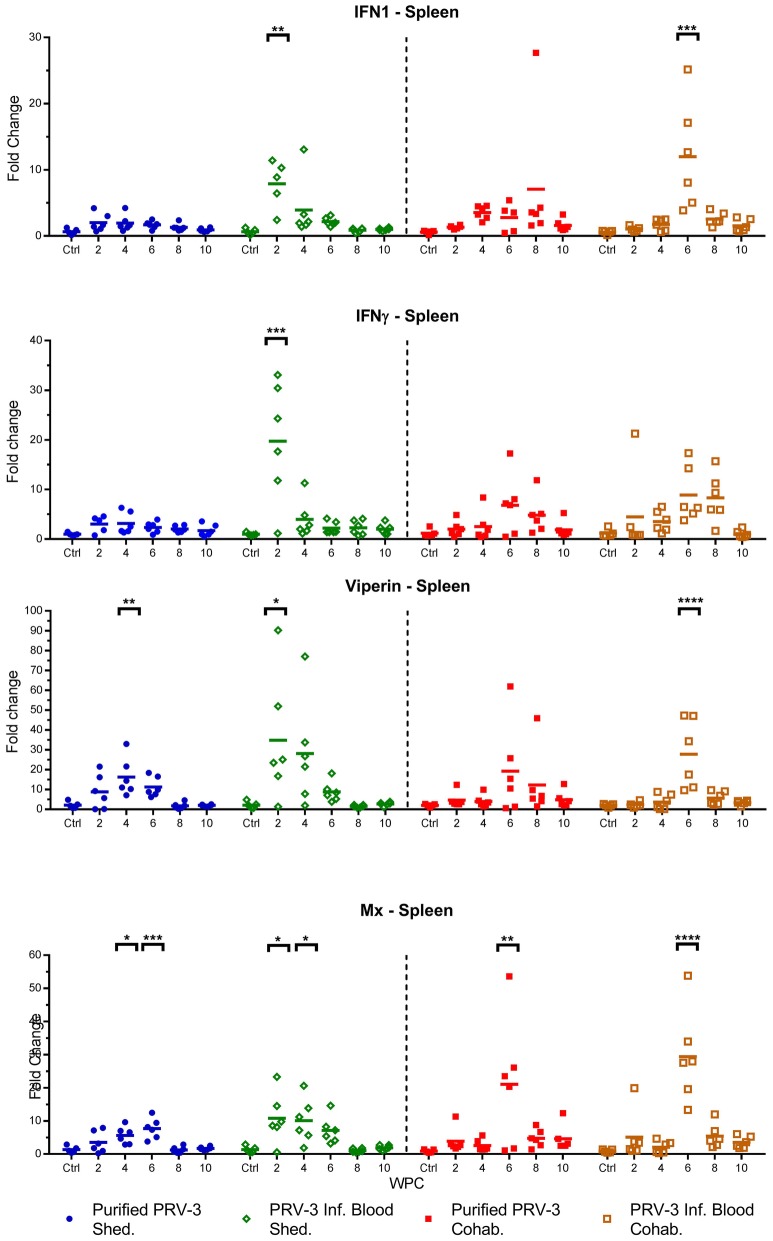 Figure 5