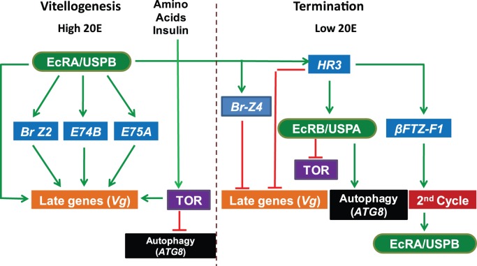 Figure 9