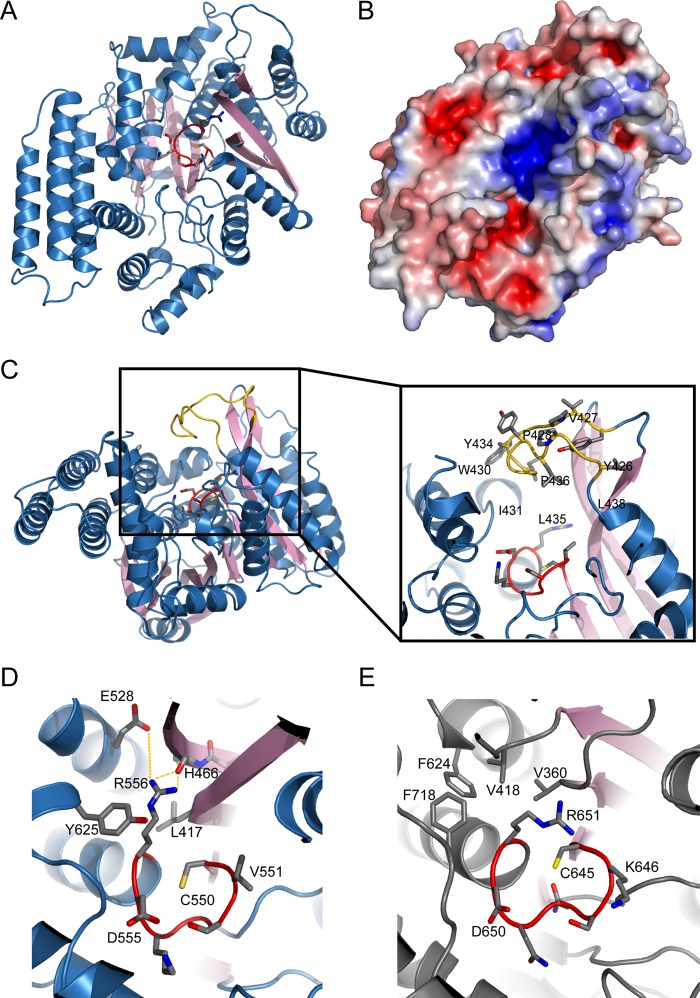 FIGURE 4.