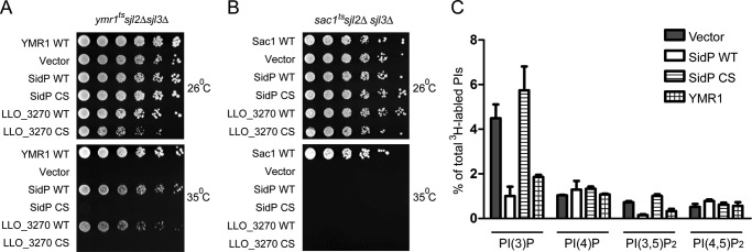 FIGURE 2.