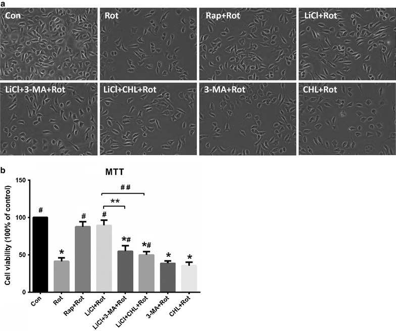 Fig. 2