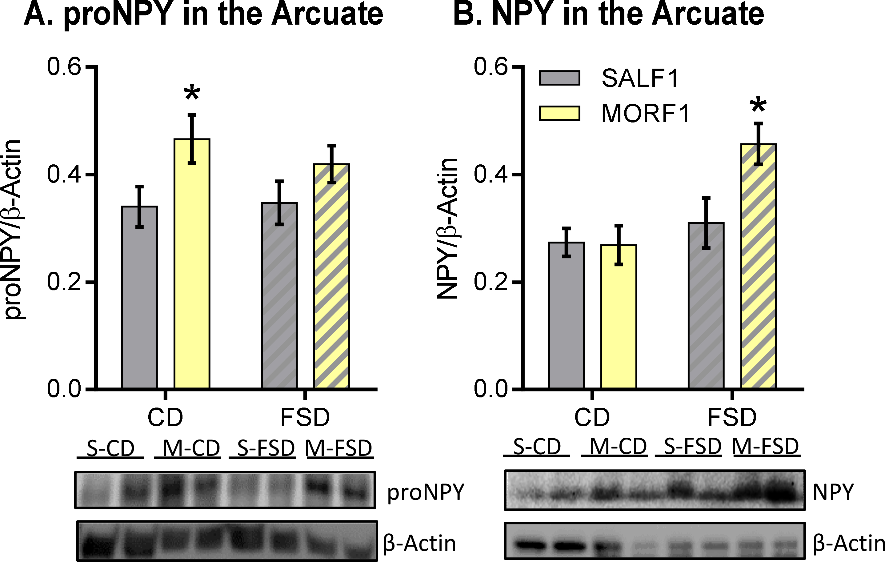 Figure 3: