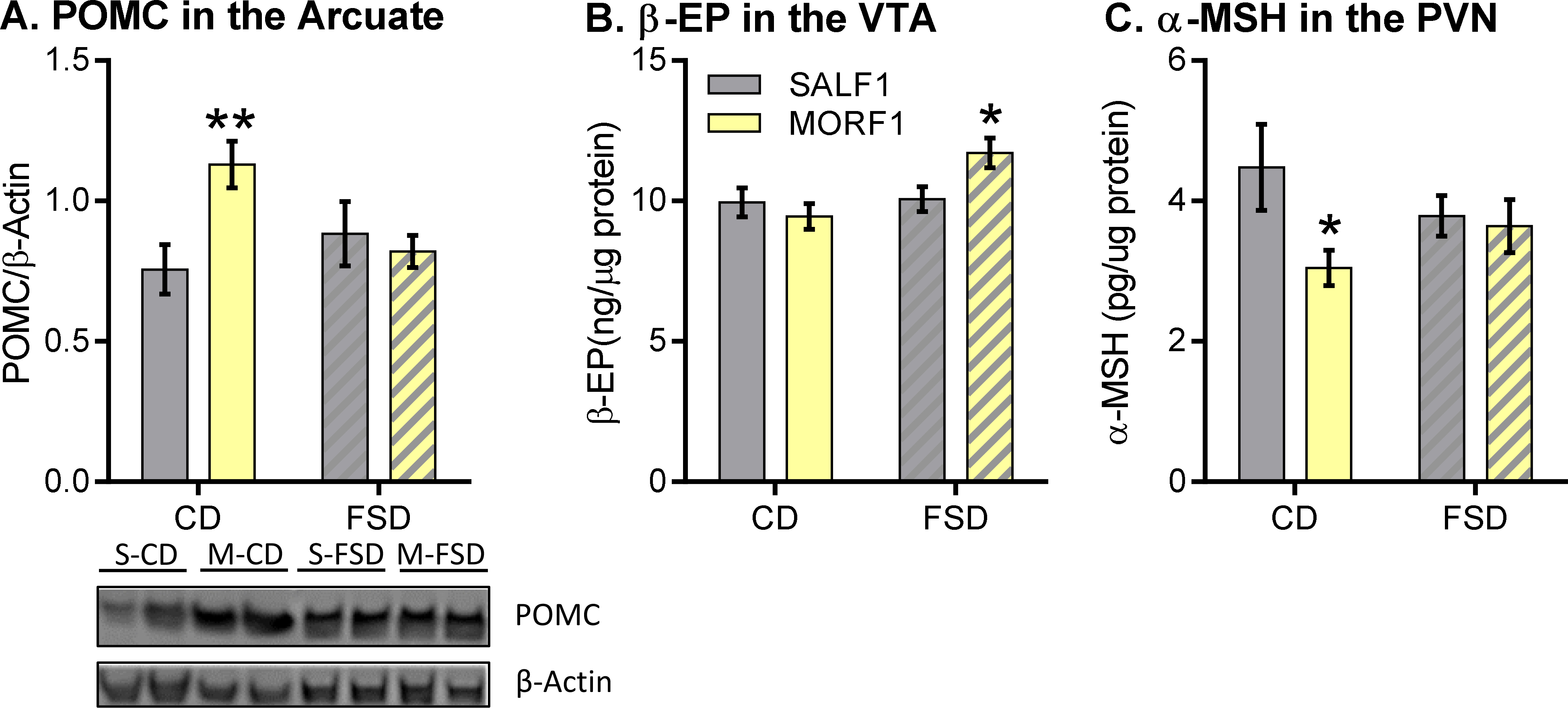 Figure 4: