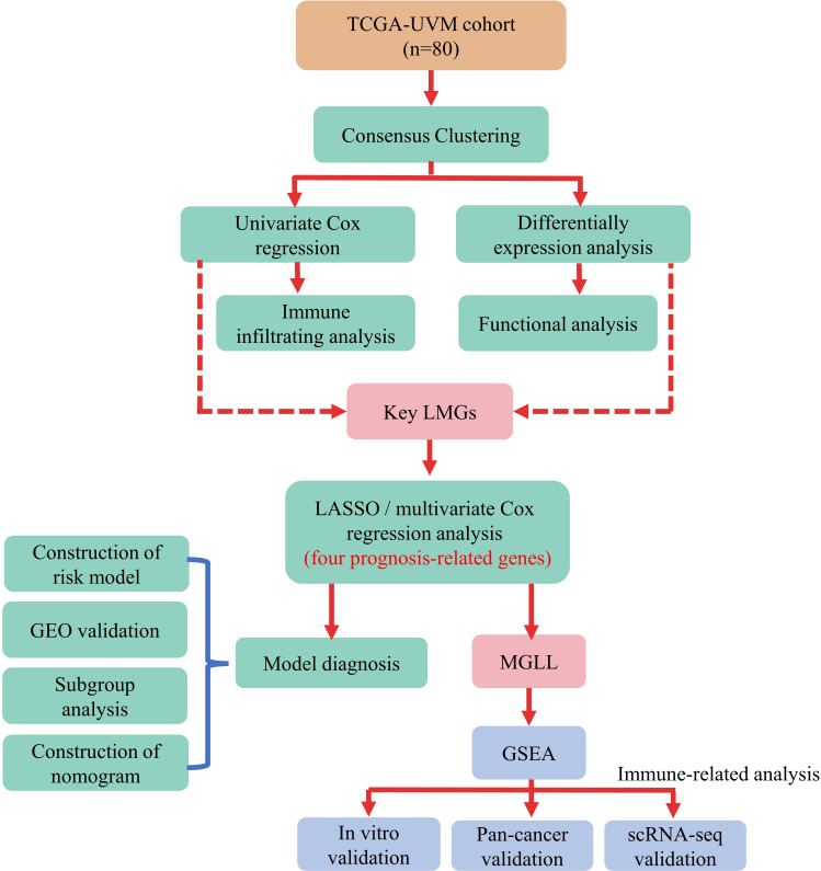 Figure 1