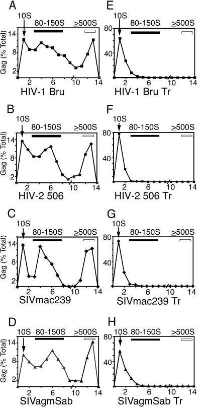 FIG. 5.