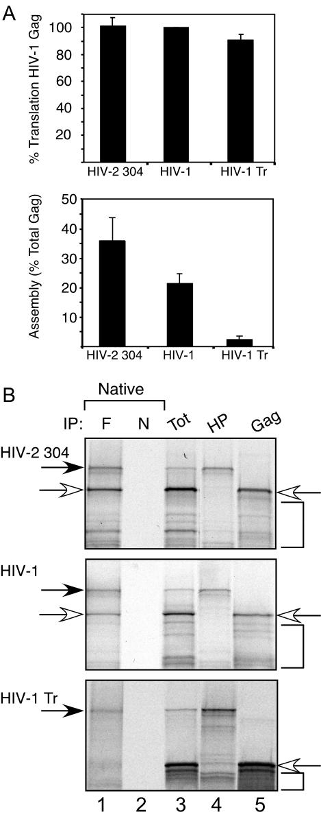 FIG. 1.