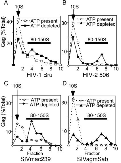 FIG. 4.