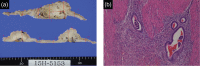 Figure 5: