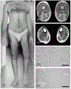 Figure 18