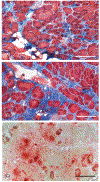 Figure 17