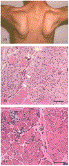 Figure 16