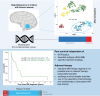 Graphical Abstract