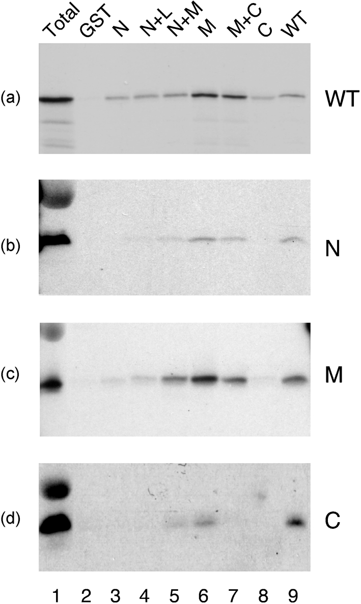 Fig. 5.