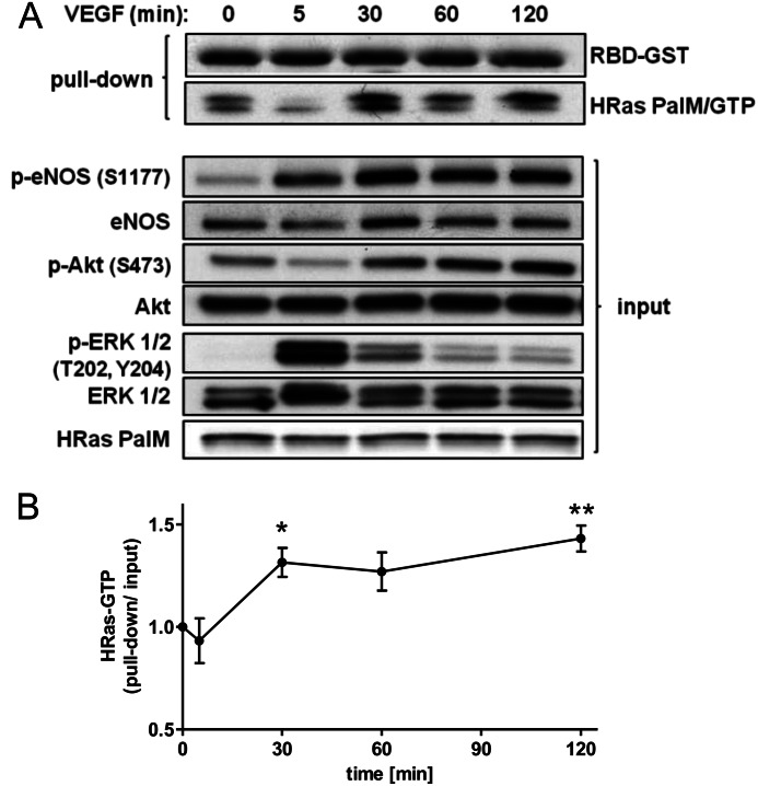 FIGURE 7.