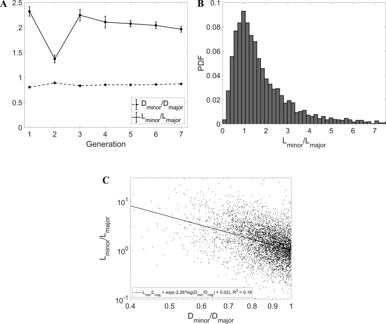 Fig. 11.