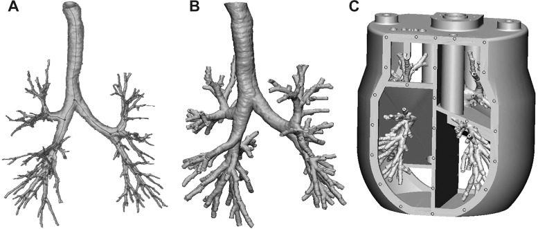 Fig. 6.