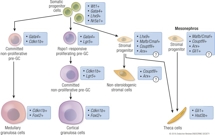 Figure 4.