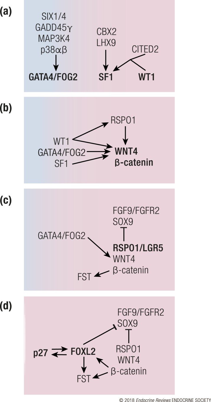 Figure 5.