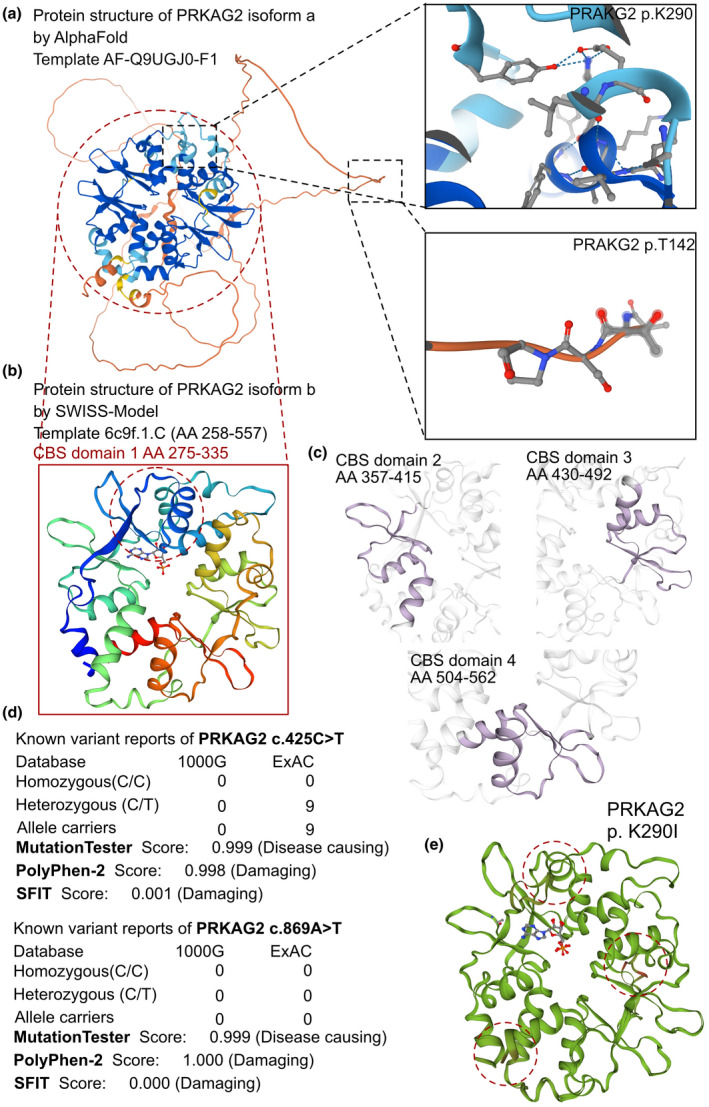 FIGURE 2