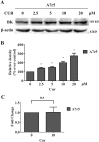 Fig 5