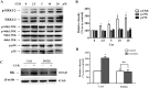 Fig 8