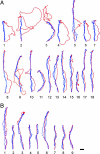 Fig. 3.