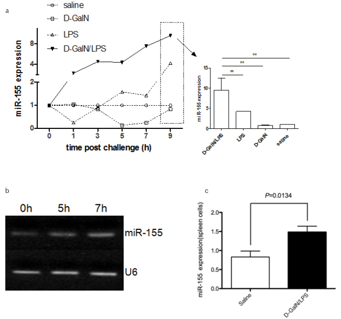 Figure 2. a–c