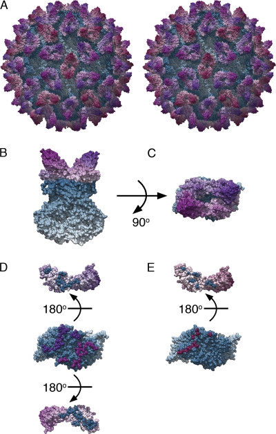 Fig. 4.