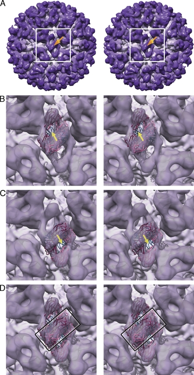 Fig. 6.