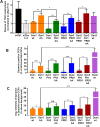 FIGURE 5: