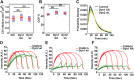 FIGURE 6: