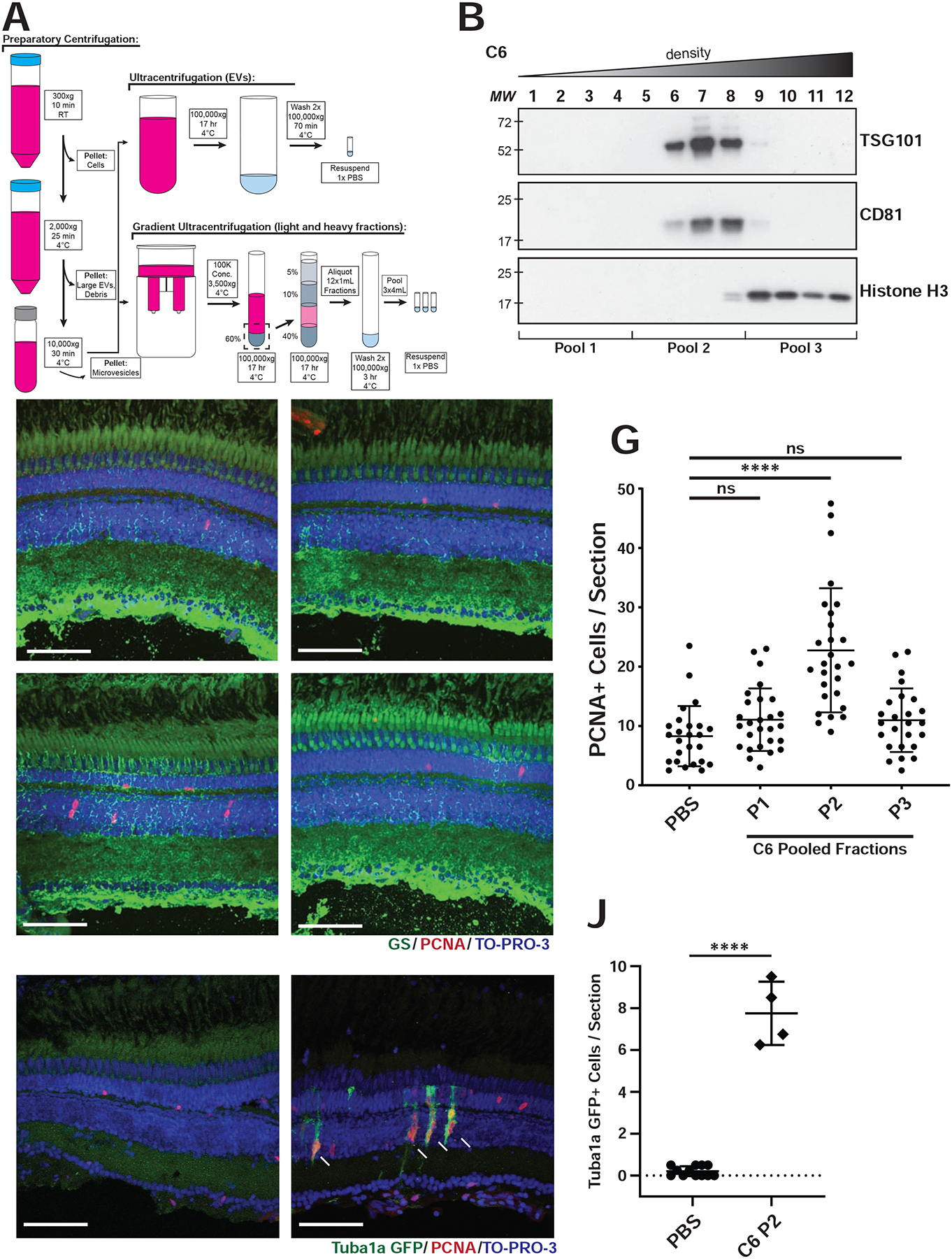 Fig 3.