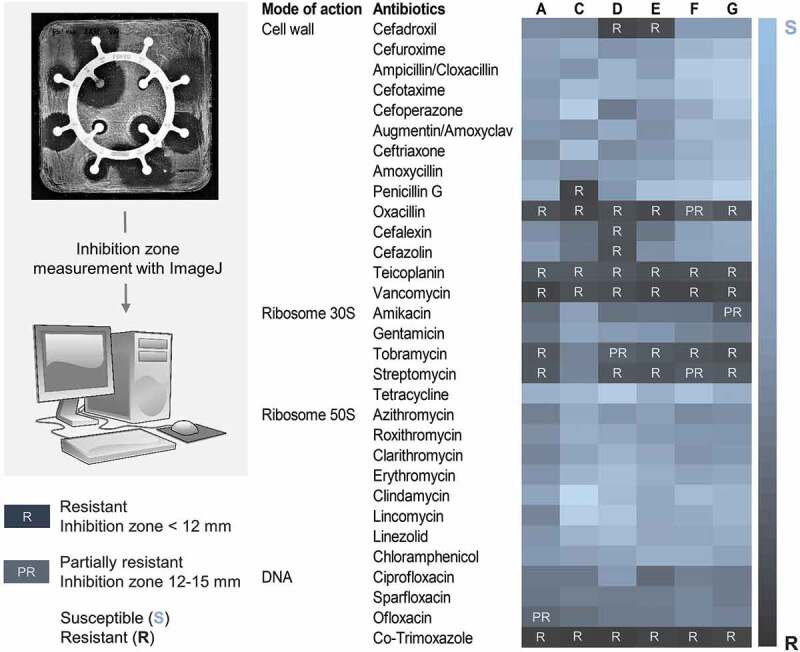 Figure 2.