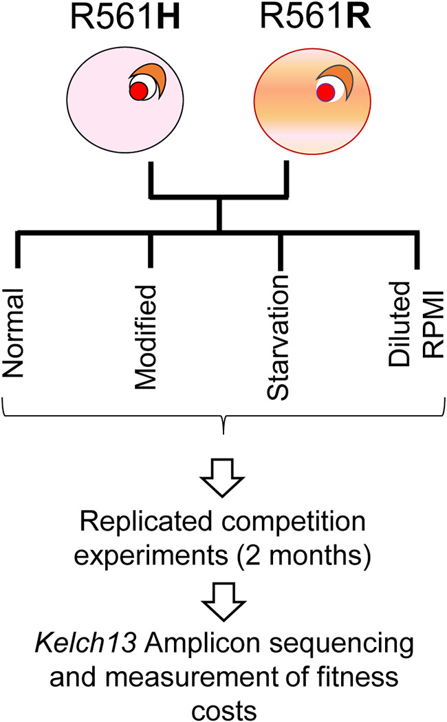 FIG 1