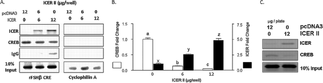 FIG. 7.