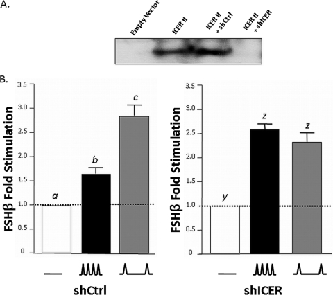 FIG. 9.