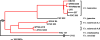 FIG. 2.
