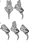 F<sc>ig</sc>. 1.