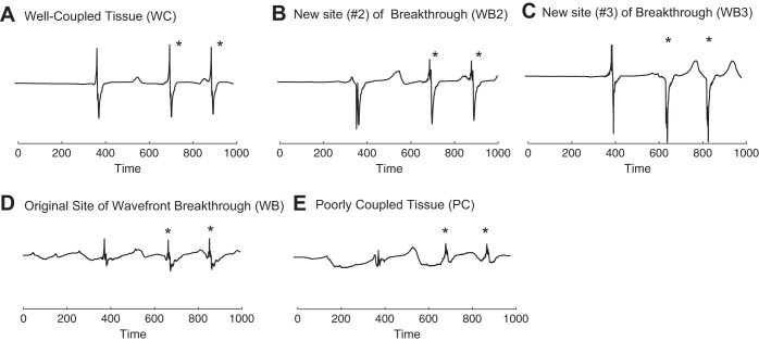 Fig. 11.