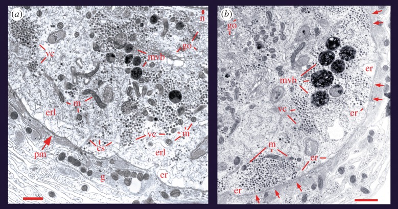 Figure 1.