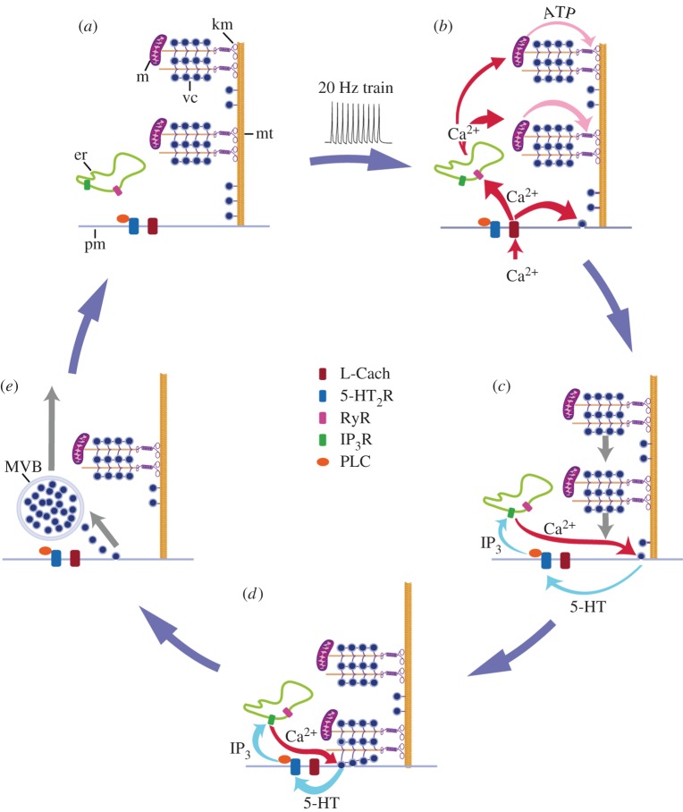 Figure 4.