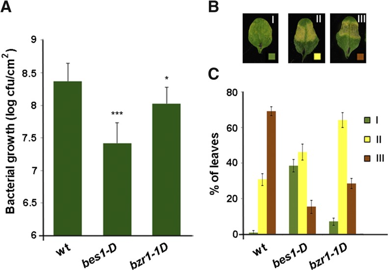 Figure 6.