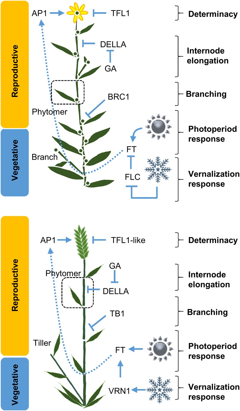 FIGURE 3