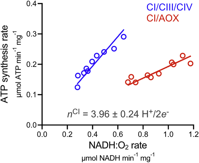 Figure 4