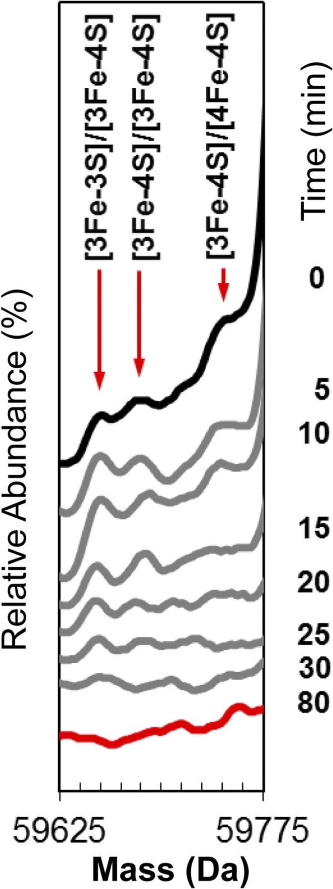 Fig. S4.