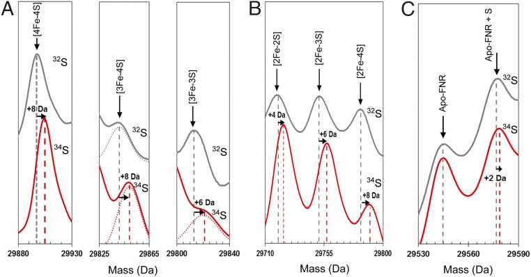 Fig. 3.