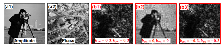 Fig. 2