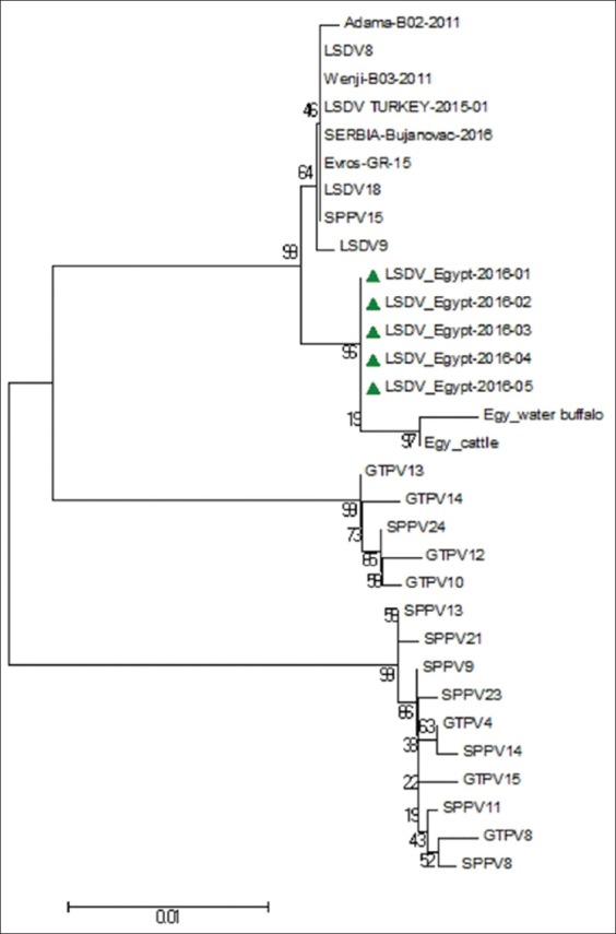 Figure-3