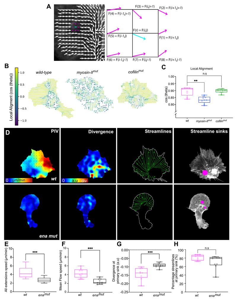 Extended Data Fig. 5